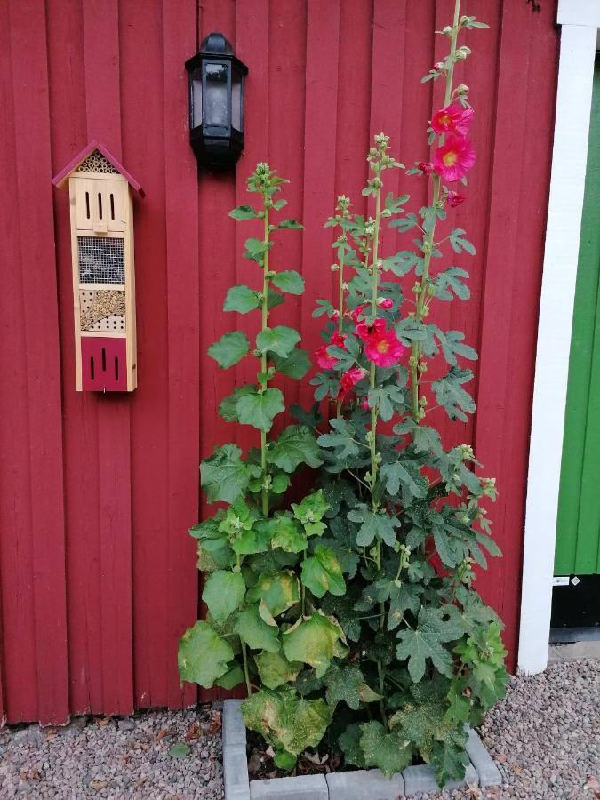 Naturnaera Charmigt Boende Helsingborg Dış mekan fotoğraf